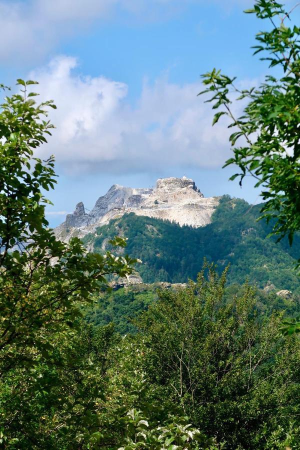 Casa Del Geco - La Natura Intorno A Te Camaiore Luaran gambar