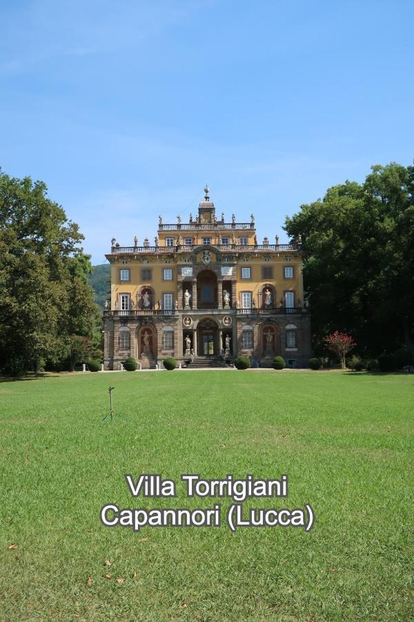 Casa Del Geco - La Natura Intorno A Te Camaiore Luaran gambar