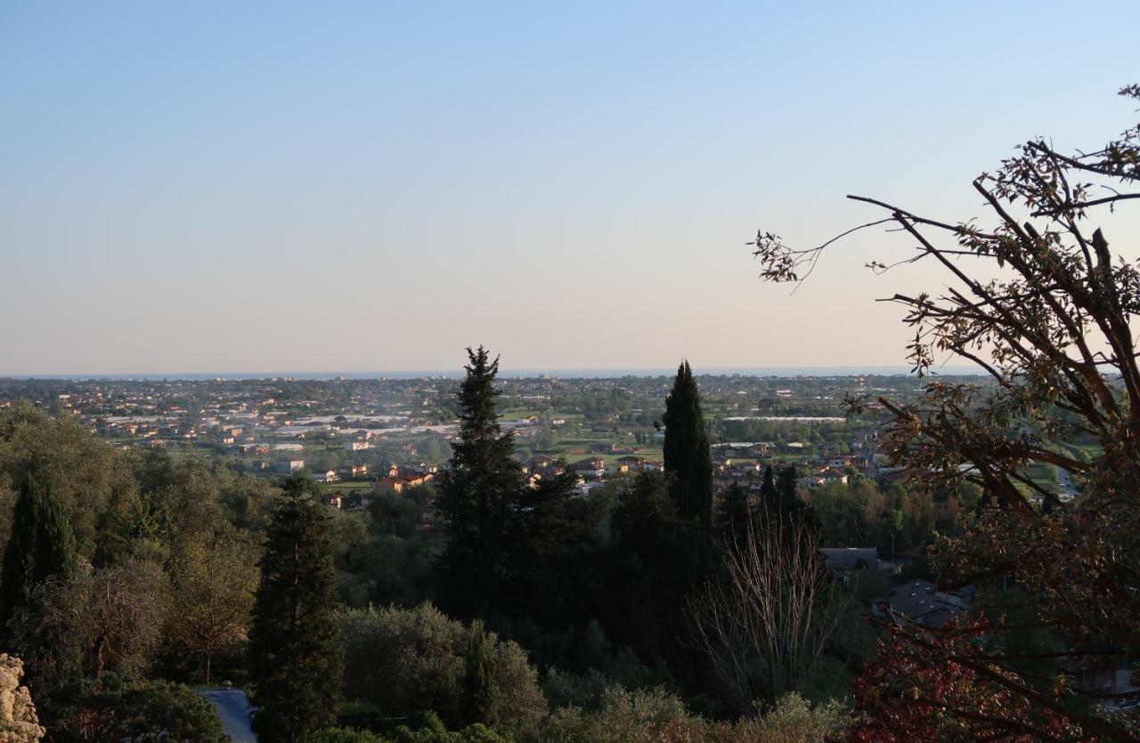 Casa Del Geco - La Natura Intorno A Te Camaiore Luaran gambar
