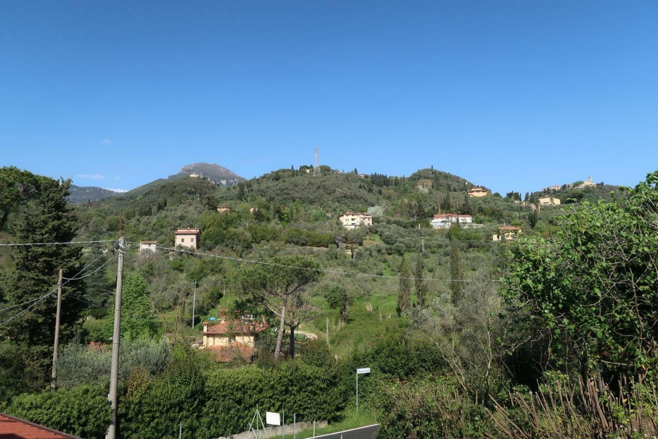Casa Del Geco - La Natura Intorno A Te Camaiore Luaran gambar